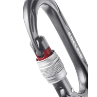 Edelrid Kiwi Screw Lock csavaros karabiner