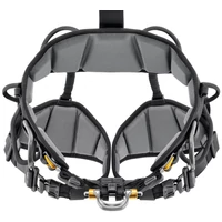 Petzl Astro teljes testheveder