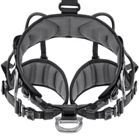 Petzl Avao Fast teljes testhevederzet