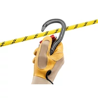 Petzl Vertigo Twist-Lock karabiner
