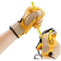 Petzl Rig ereszkedőeszköz