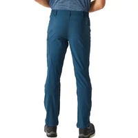 Regatta Highton Trousers férfi túranadrág