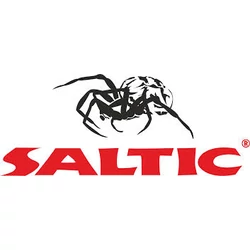 Saltic