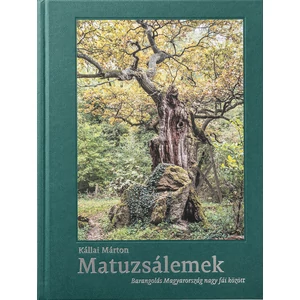 Kállai Márton - Matuzsálemek, Barangolás Magyarország nagy fái között