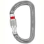 Petzl Am'D Screw-Lock csavaros karabiner